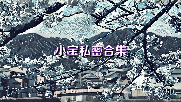 小宝私密合集