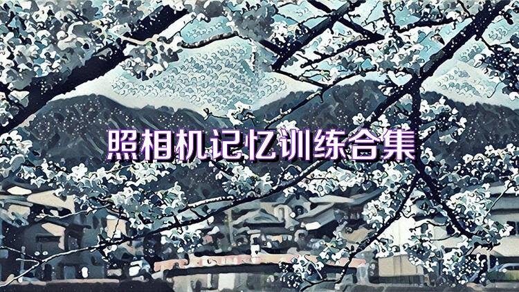 照相机记忆训练合集