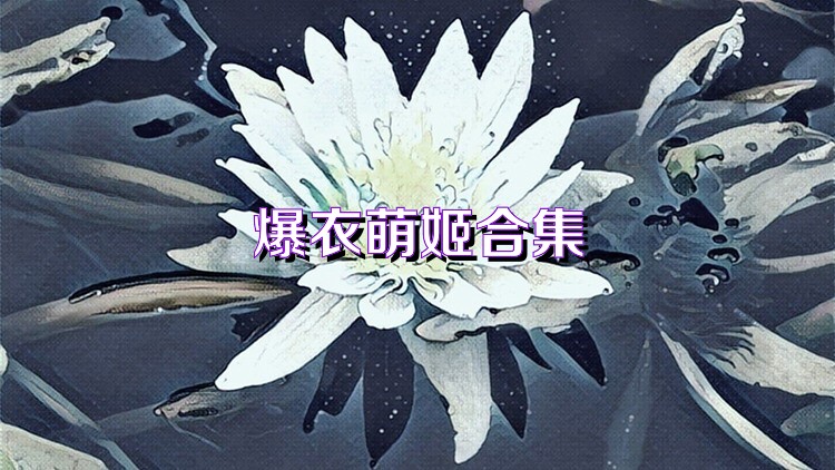 爆衣萌姬合集