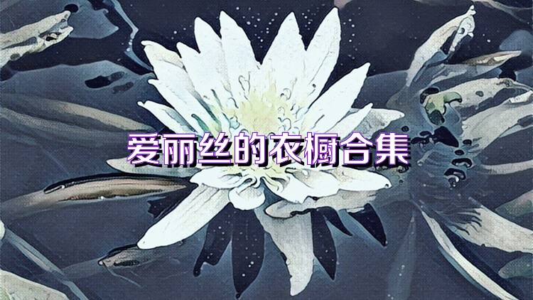 爱丽丝的衣橱合集