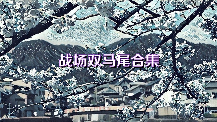 战场双马尾合集