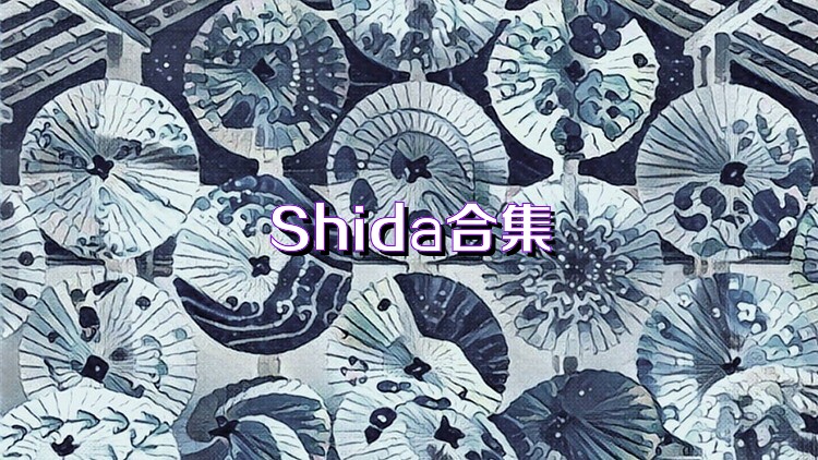 Shida合集