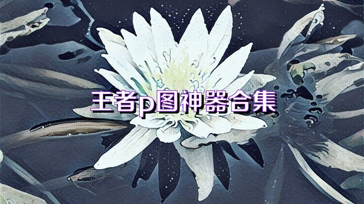 王者p图神器合集