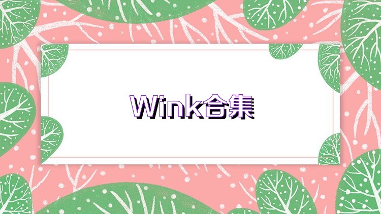 Wink合集