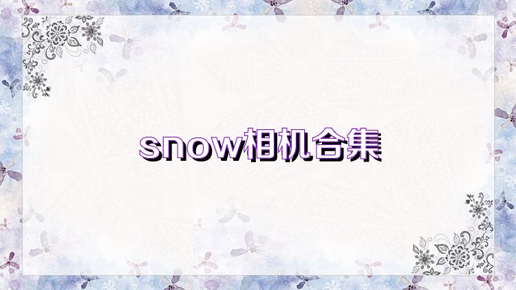 snow相机合集