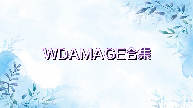 WDAMAGE合集