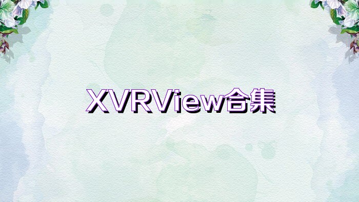 XVRView合集