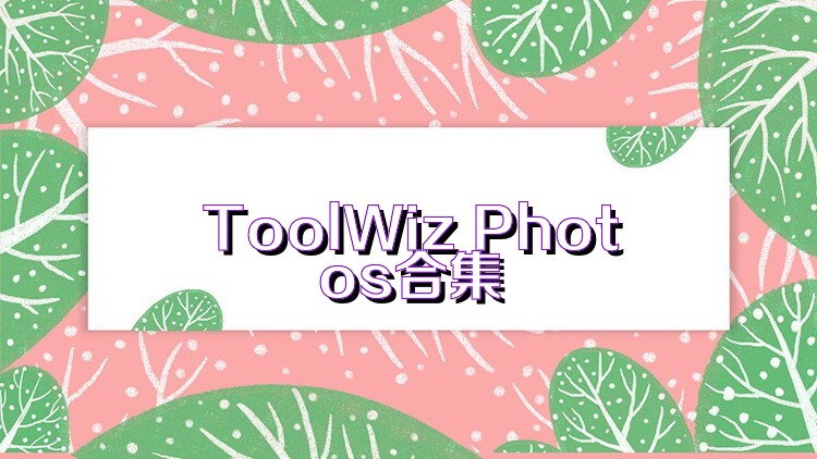 ToolWiz Photos合集