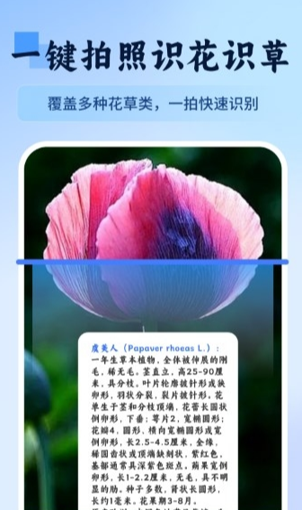 万物识图快拍易识别0