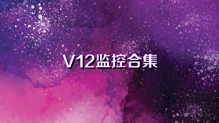 V12监控合集