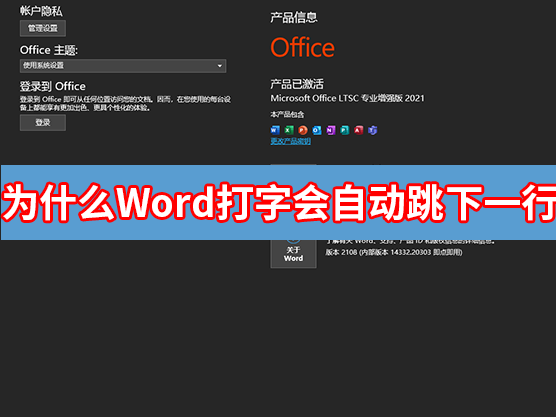 Word软件打字自动跳转下一行解决方法