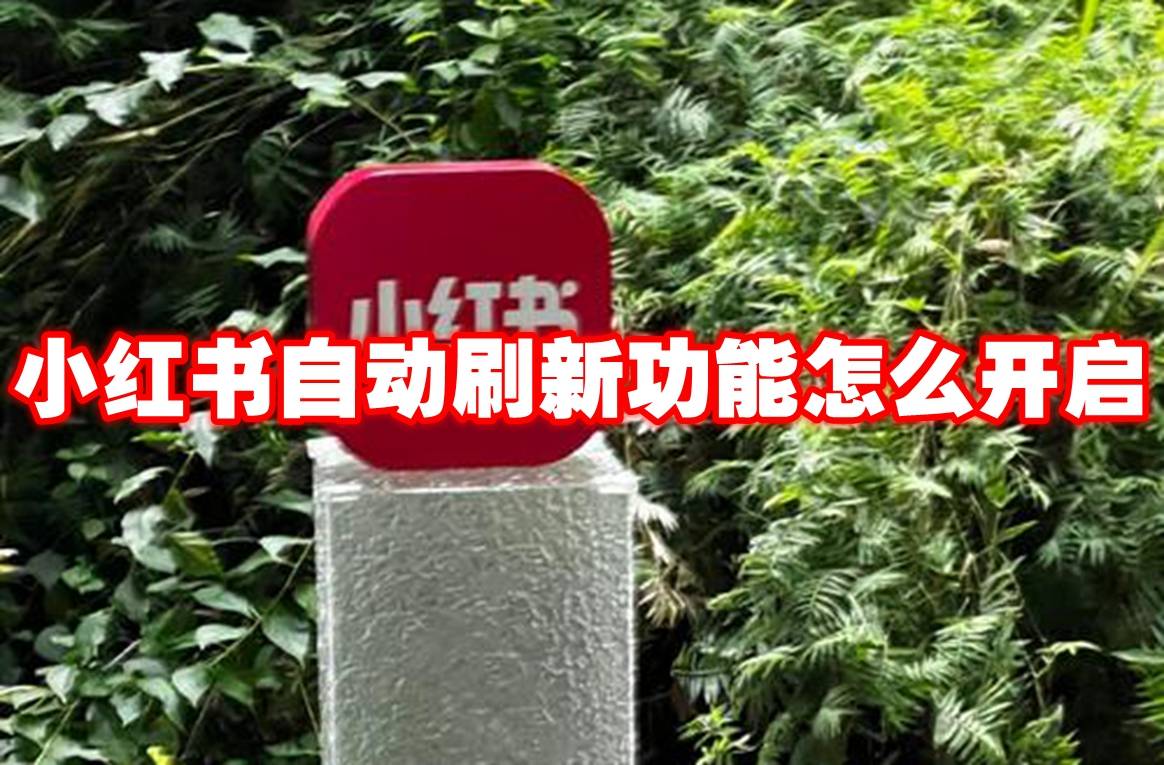 小红书自动刷新功能开启教程