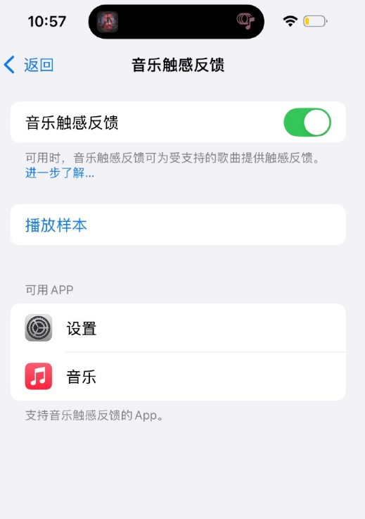 苹果手机音乐触感反馈功能怎么开启
