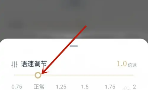 看理想app倍速播放怎么设置