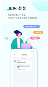 飞项