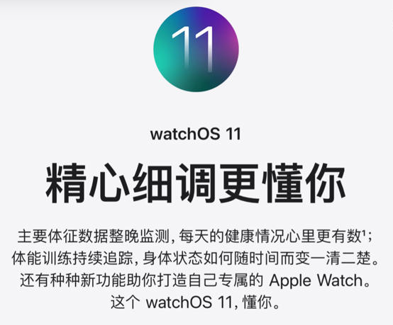 Apple Watch 新功能震撼上线：watchOS 11.1 带来睡眠呼吸暂停检测