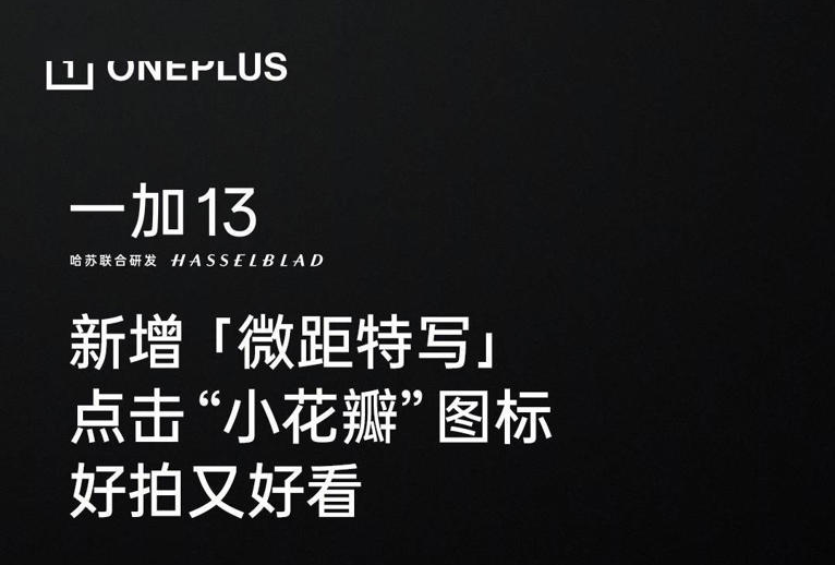 一加13手机“微距特写”新功能震撼上线，捕捉微观世界之美！