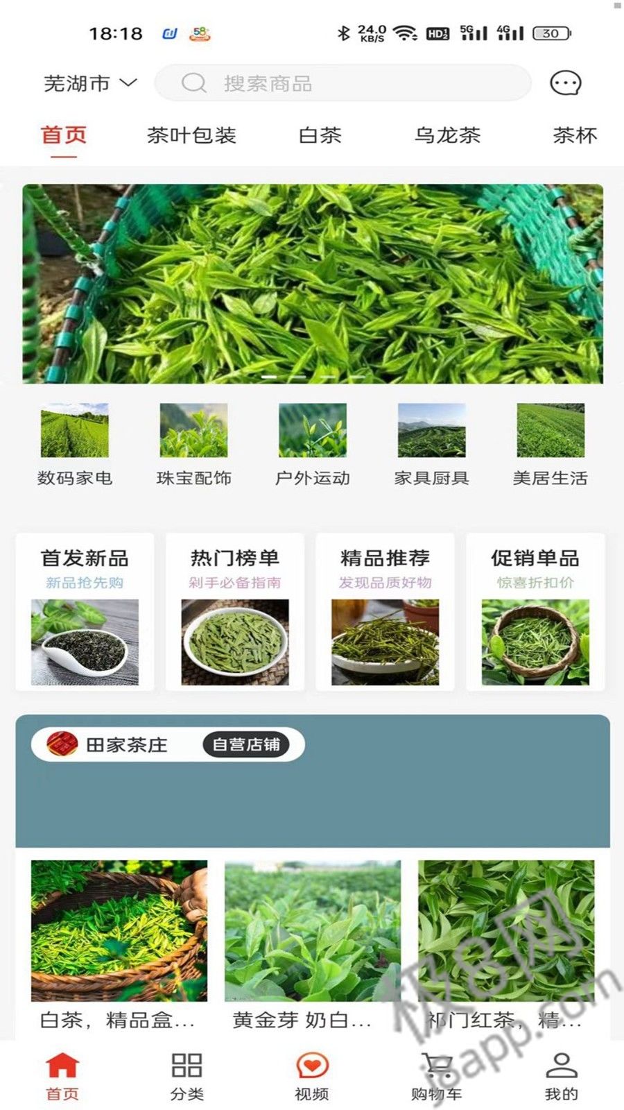 一灯茶网