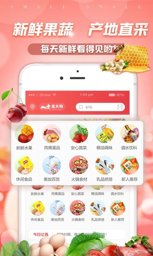 金大狗到家手机版