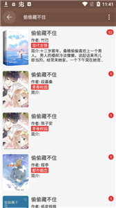 一本小说