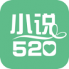 小说520