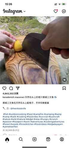 ins安卓版