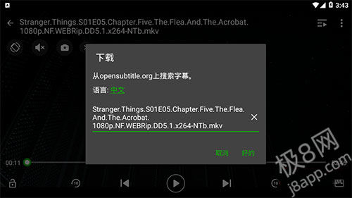 XPlayer高级版