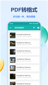 PDF转格式