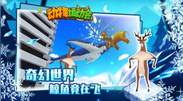 动物运动会