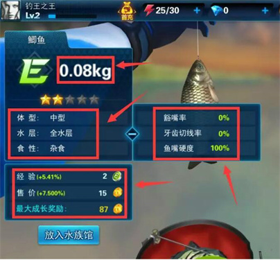 钓鱼大咖官方版