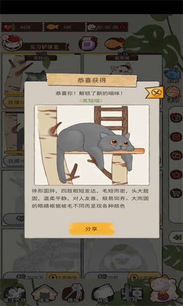 喵大人物语游戏