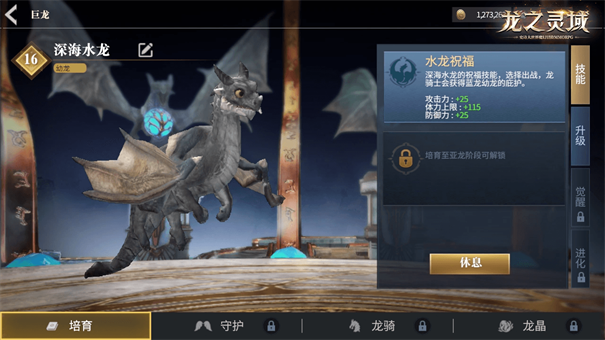 龙之灵域