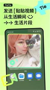 贴贴