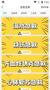 安防保