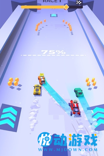 Fury Race