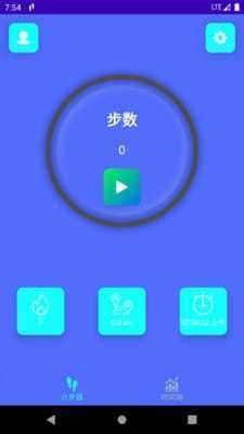 金金计步