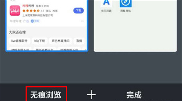 Alook浏览器手表版