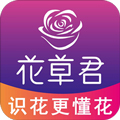 花草君