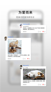 小它