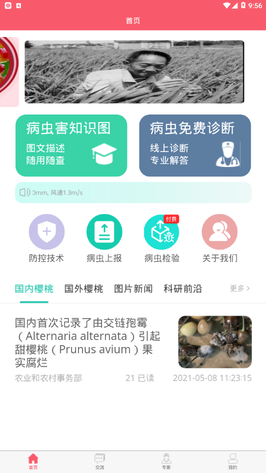 樱桃医生