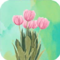 壁纸最美APPapp软件