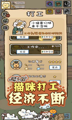 猫力给