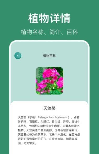 花仙识花草
