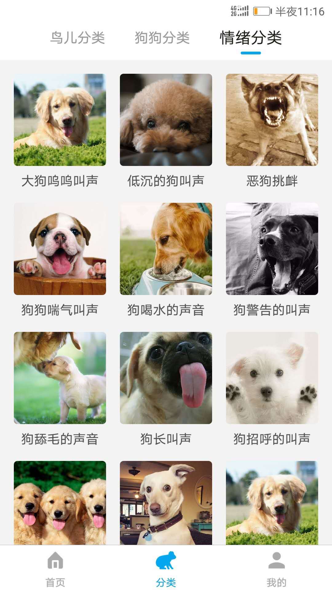 宠物翻译器