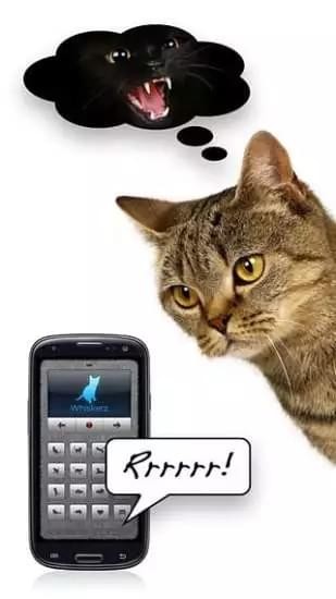人猫翻译器免费版