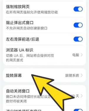 波波浏览器极速版v3.6.5
