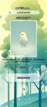 冥想小森灵