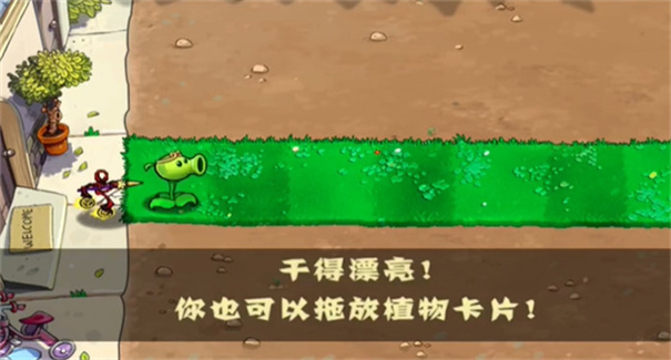 植物大战僵尸黑西游版中文版