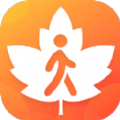 枫叶悦步app