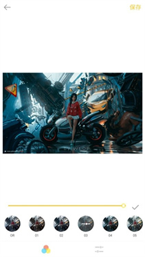 intoLive下载v1.44